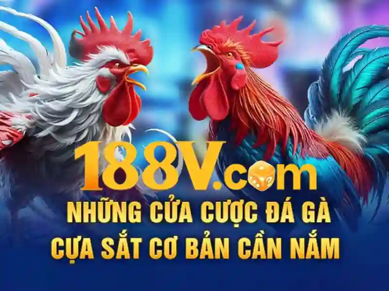 nhận thưởng 188v – Trải nghiệm và định vị thương hiệu