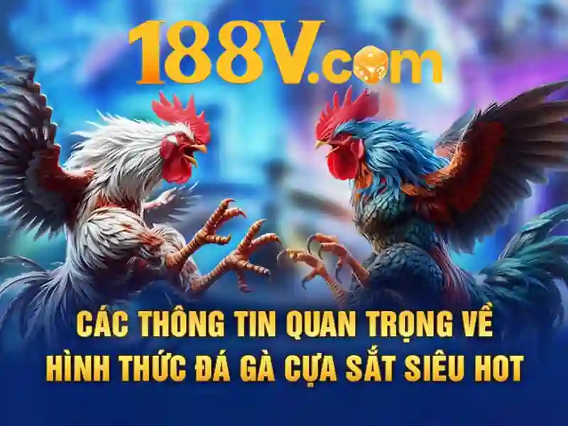 188v com tại app – Khám phá nền tảng và dịch vụ hàng đầu