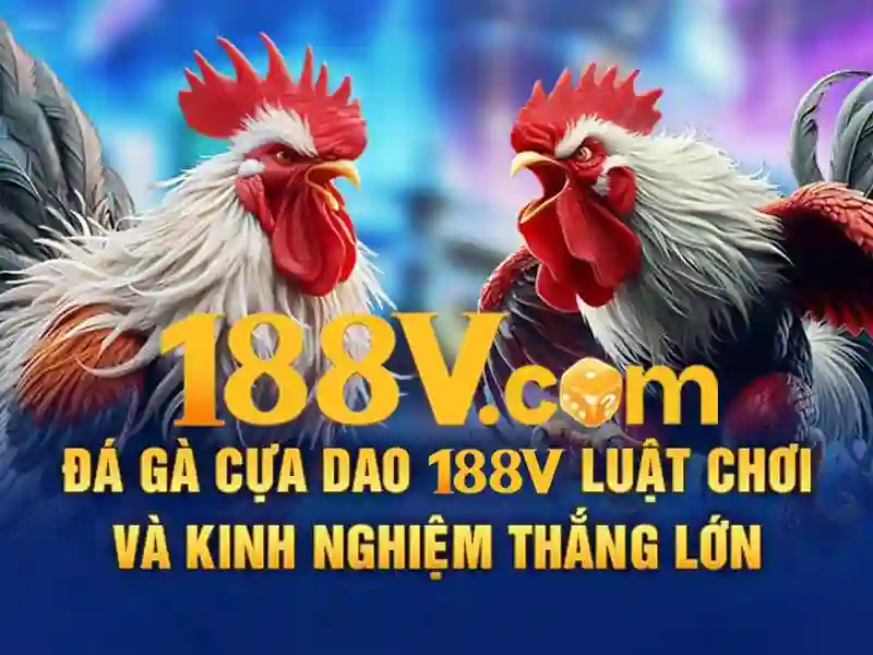nhận thưởng 188v – Trải nghiệm và định vị thương hiệu