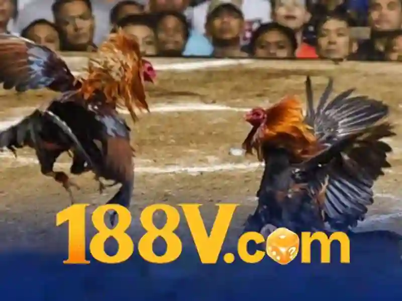 Nhận thưởng 188v: Trải nghiệm và hành trình thương hiệu