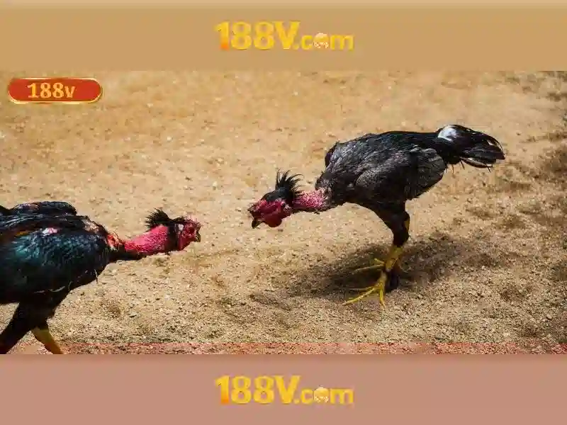 188V: Hiểu về điện áp 188V và tác động của nó