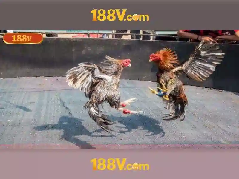 Khái niệm 188v