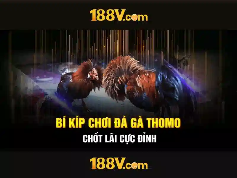 Những thách thức và câu hỏi mở\n\n<h>Tương lai của 188v</h>\n<p><span style=