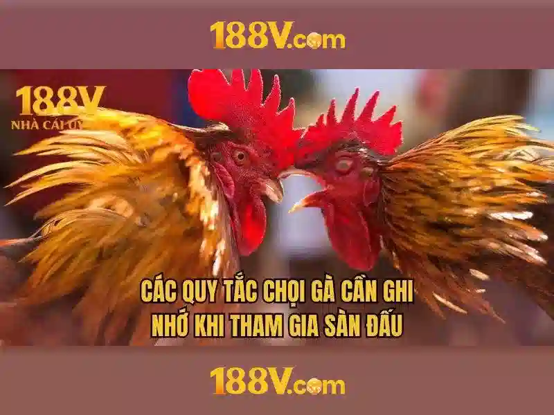 Tiêu chuẩn và an toàn
