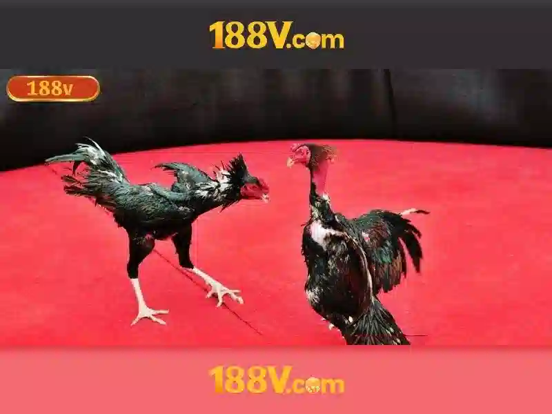 Khái niệm 188v