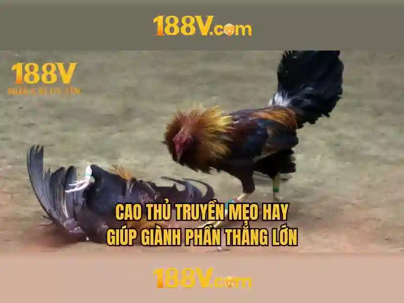 Khía cạnh cộng đồng và sự lan tỏa