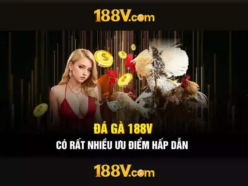 Ứng dụng và tiềm năng