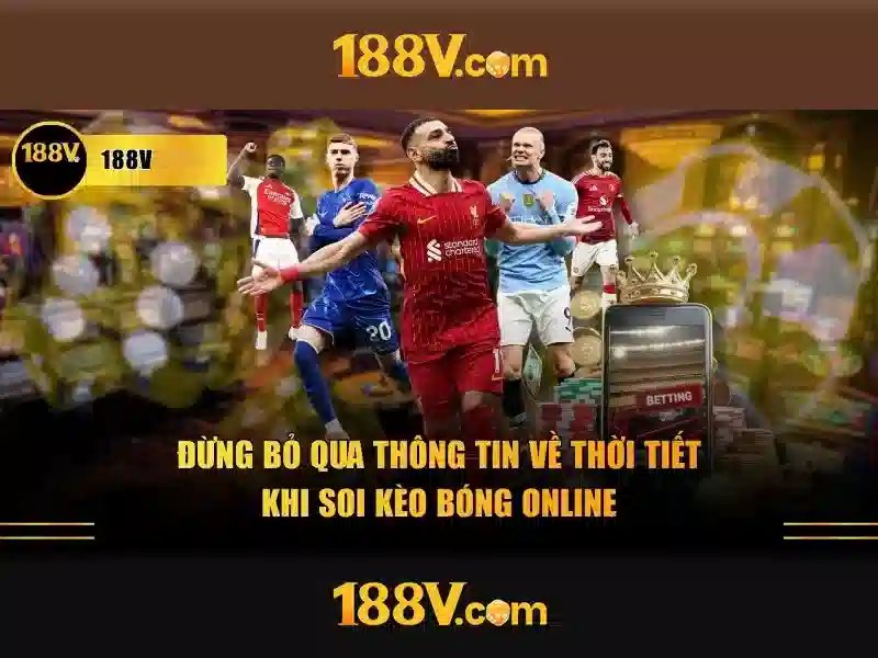 Các thành phần của hệ sinh thái 188v
