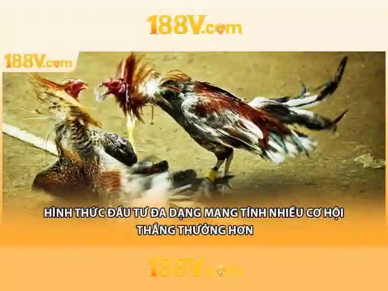 Khám phá 188v: một cái nhìn tổng quan