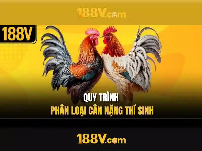 Khái niệm 188V