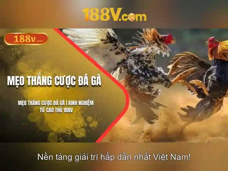 An toàn khi làm việc với điện áp cao