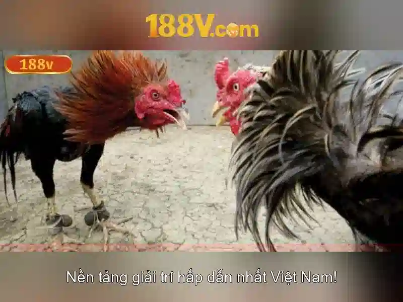 Điện áp và an toàn với 188V<h>Ứng dụng 188V trong hệ thống nạp</h><p><span style=