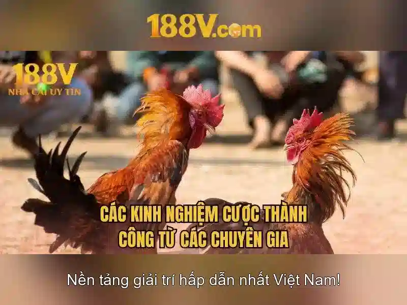Đo lường và an toàn