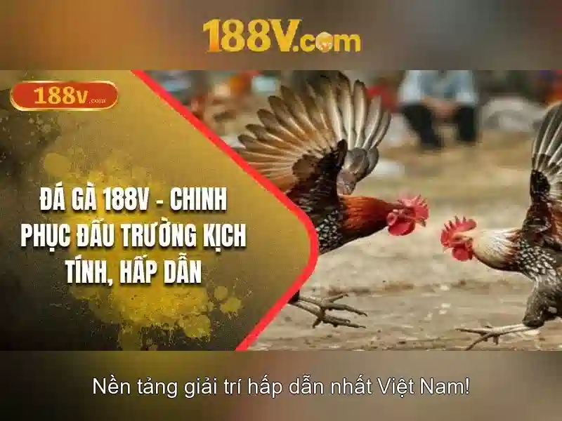 Khái niệm 188v