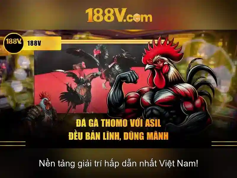 Khái niệm cơ bản về điện áp 188 vôn