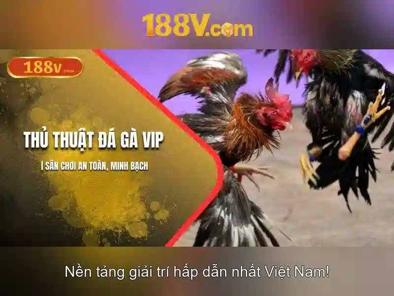 Thách thức và tương lai