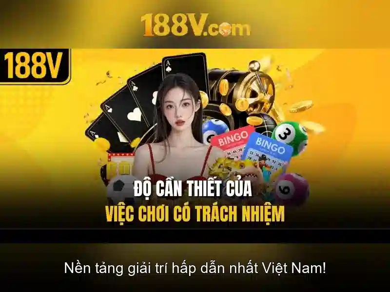 Trải nghiệm người dùng và phản hồi từ cộng đồng