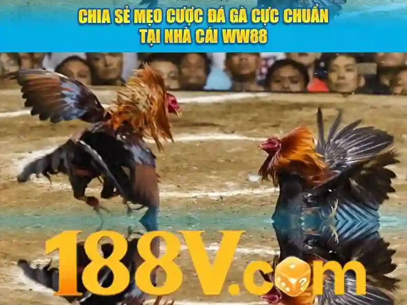 Khám phá 188v: một khái niệm công nghệ và câu chuyện phía sau