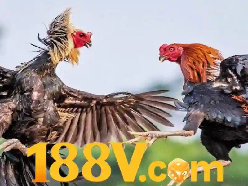 code 188v mới nhất: khám phá giá trị và trải nghiệm đột phá