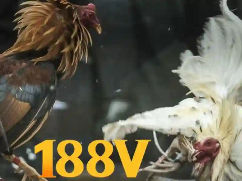 Hướng phát triển và tầm nhìn tương lai của 188v battery