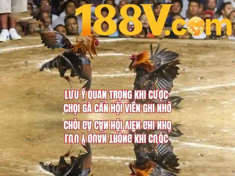 188v: hành trình của một con số và ký ức