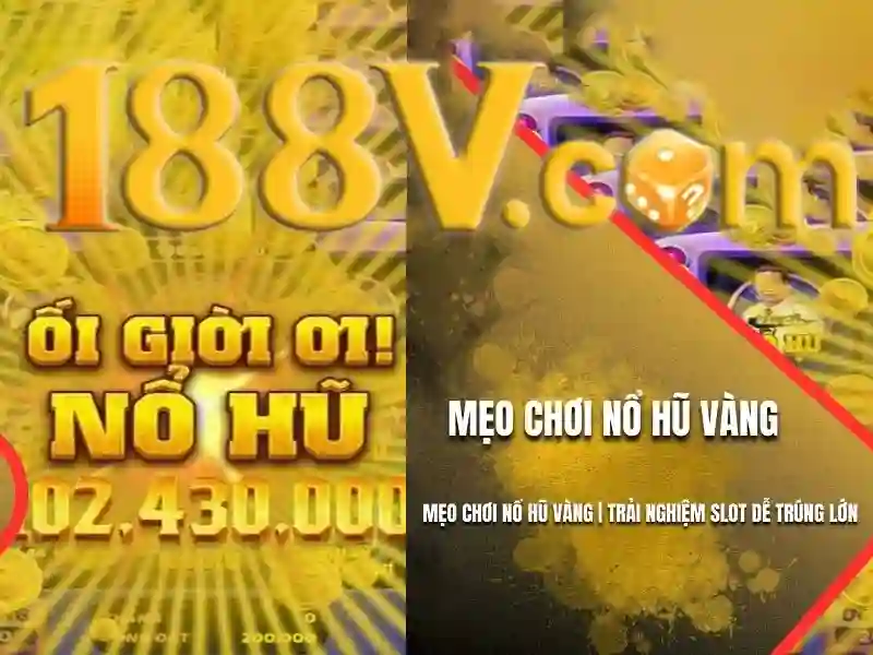 Trải nghiệm và cảm nhận