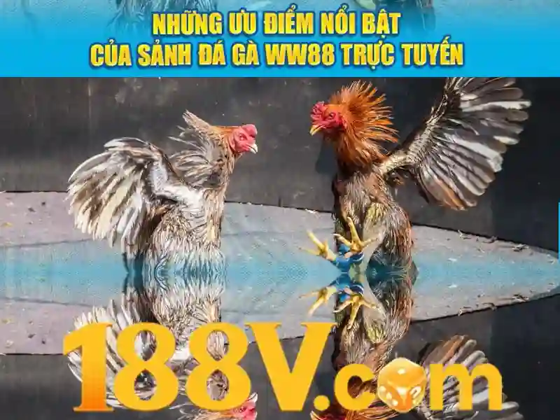 188v: một khái niệm mới trong nghệ thuật số